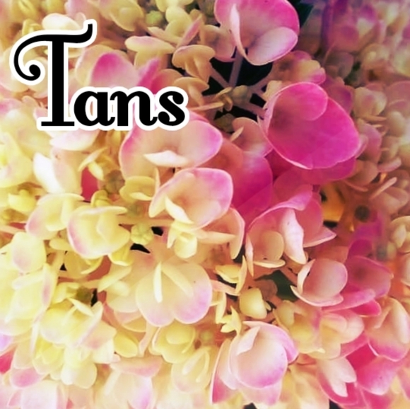 Info - Picture 1 of 1